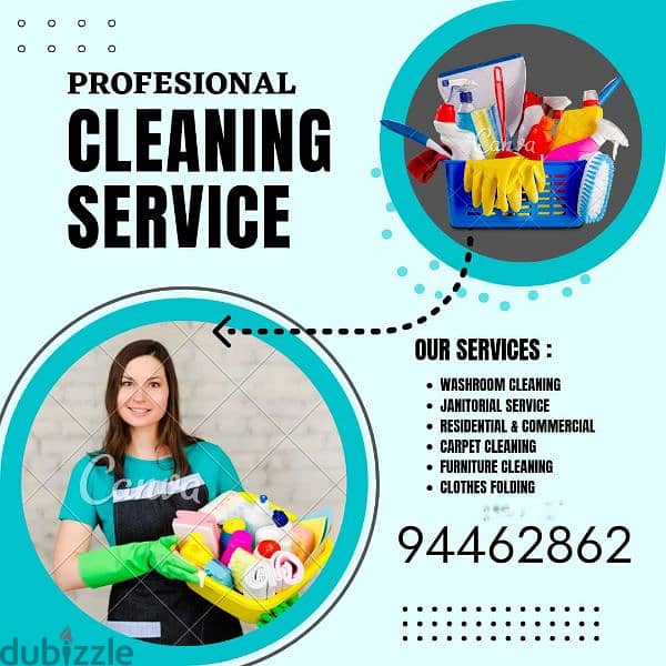 professional cleaning 0