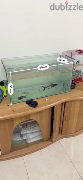 29+ gallon Fish Tank with Fishes and accessories 1