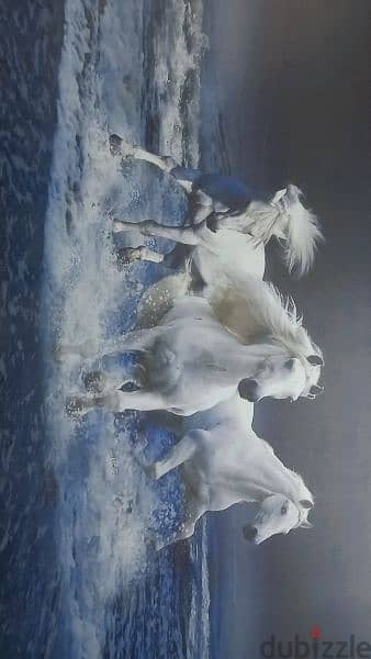 Beautiful horses painting frame 2