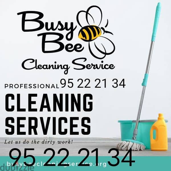 Professional house deep cleaning service 0