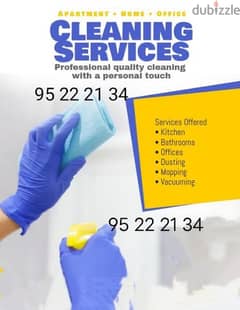 Professional house deep cleaning service