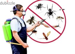 General pest control services and house cleaning