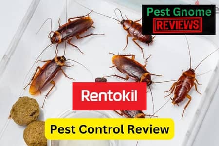 Pest control service and house cleaning service