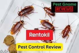 Quality pest control service and house cleaning 0