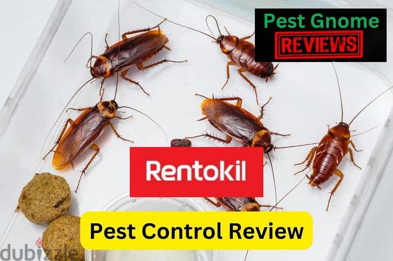 Quality pest control service with warantty 0