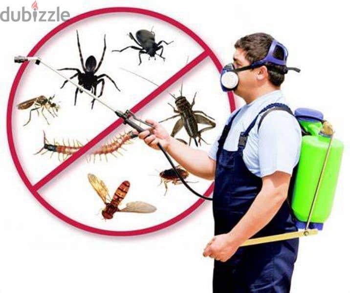 Quality pest control service and house cleaning 0