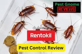 Guaranteed pest control service 0