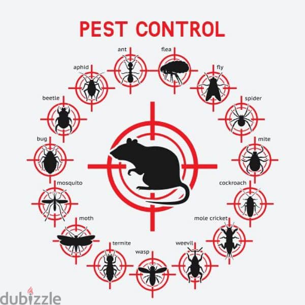 Quality pest control service 0