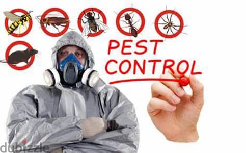 Pest control service and house cleaning