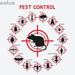 Guaranteed pest control service and house cleaning 0