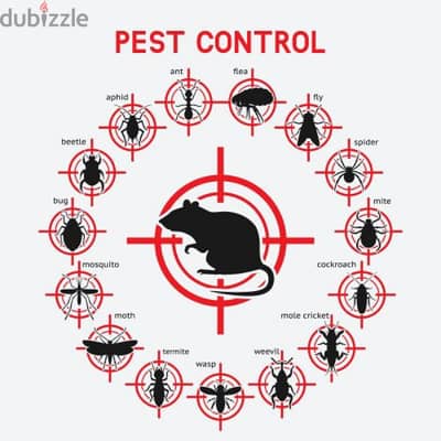 Guaranteed pest control service and house cleaning