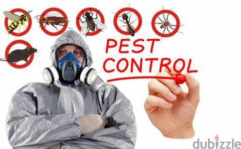 Pest control service and house cleaning