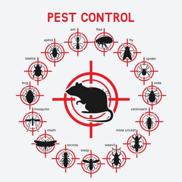 Quality pest control service 0