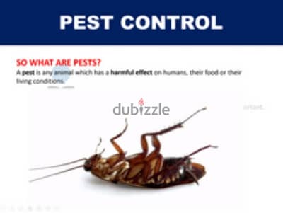 Guaranteed pest control service