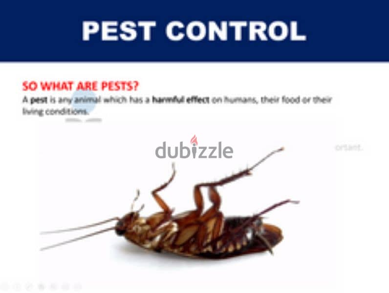 Guaranteed pest control service 0