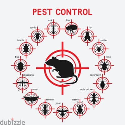 pest control service and house cleaning