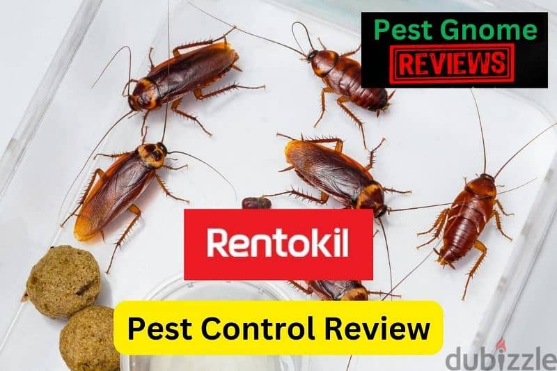 Pest control service 0