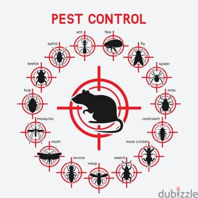 Quality pest control service and house cleaning