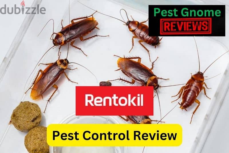 Guaranteed pest control service and house cleaning 0