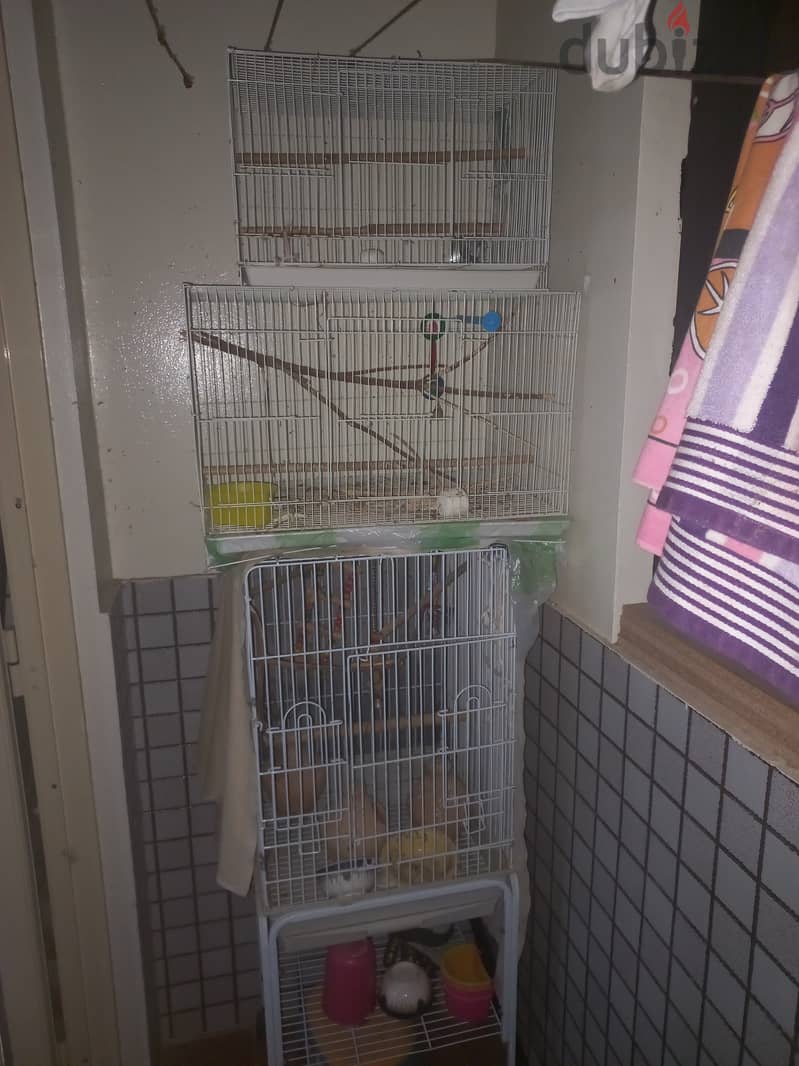 Birds Cage 3 nos 1