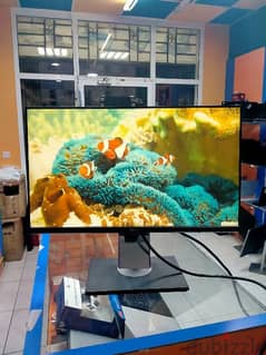 Dell Monitor 24 inch Boadless Good Condition