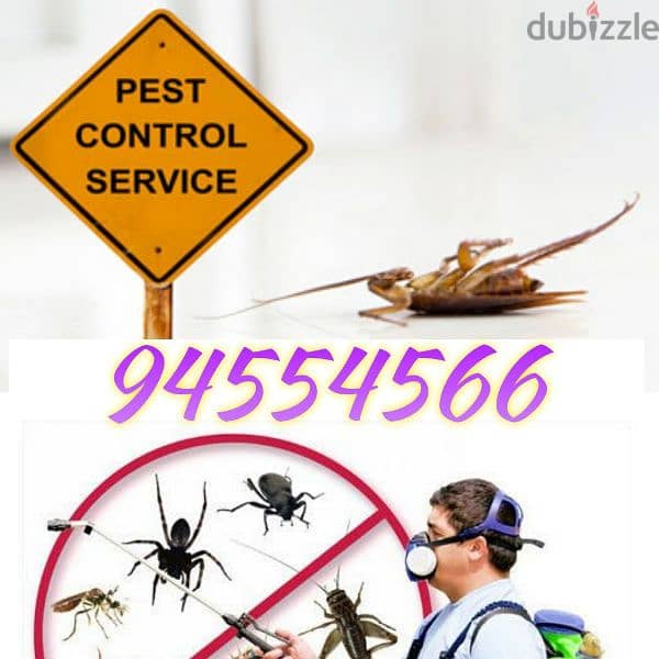 Guaranteed pest control services and house cleaning 0