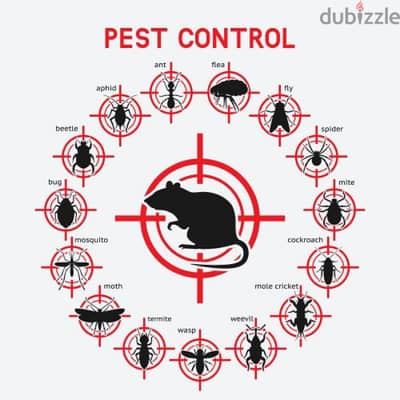 Pest control service and house cleaning