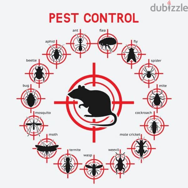 Pest control service and house cleaning 0