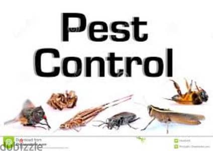 Quality pest control services and house cleaning