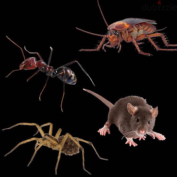 Guaranteed pest control services 0