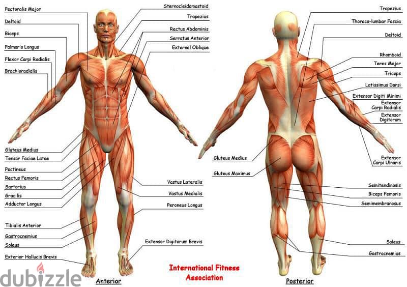 sweedish and deep tissue relaxation massssg 1