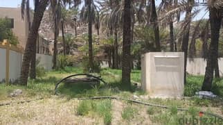 looking for aggriculture land with well water around muscat area 0