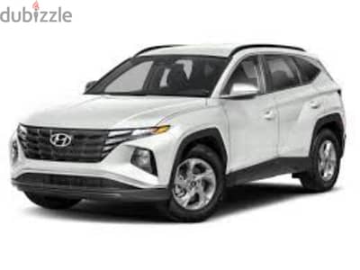 Hyundai Tucson (2023) daily weekly and monthly basis