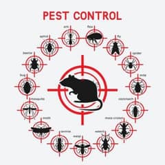 Quality pest control services and house cleaning