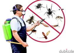 General pest control services and house cleaning