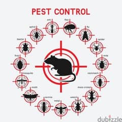 pest control services and house cleaning up 0