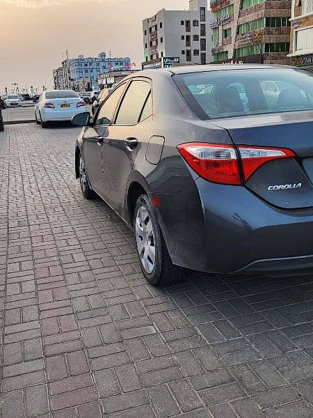 كورولا للايجار Corolla For Rent 6 OMR 1