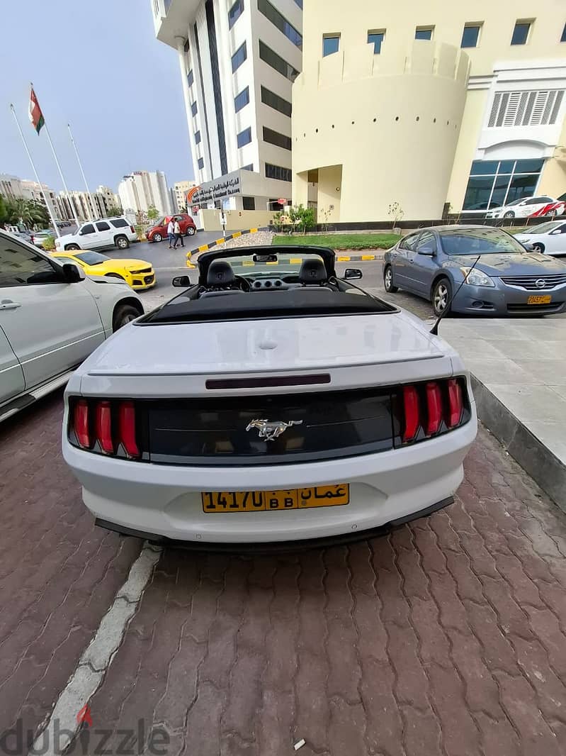 Ford Mustang 2020 2.3L EcoBoost Convertible 1