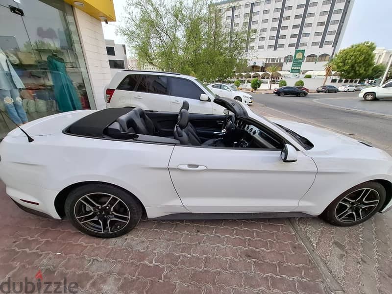 Ford Mustang 2020 2.3L EcoBoost Convertible 2