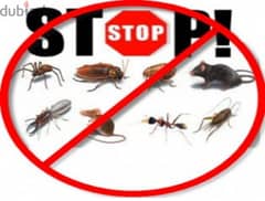 General pest control services and house cleaning