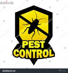 pest control services and house cleaning up