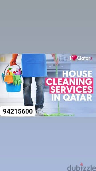 professional house, villa, building, office, school cleaning service 0