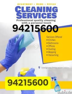 Professional villa office shops restaurant house deep cleaning service