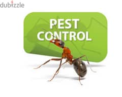 General pest control services and house cleaning 0