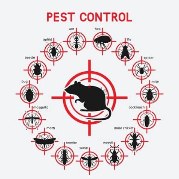 Guaranteed pest control services and house cleaning 0