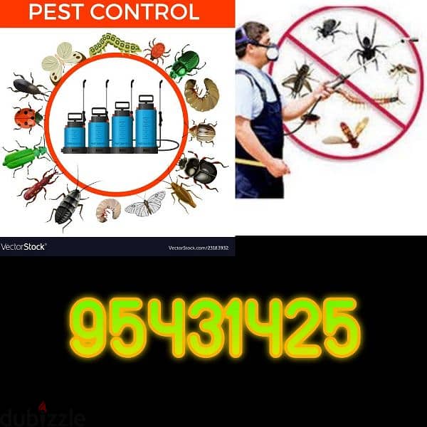 Pest control services and house cleaning up 0