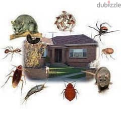 Guaranteed pest control services and house cleaning 0