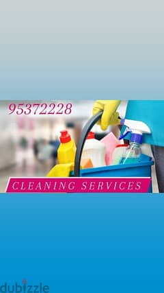 Professional villa office shops restaurant house deep cleaning service 0