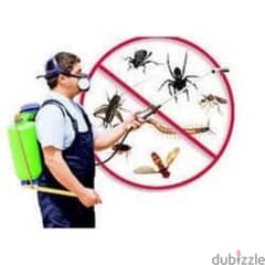 Quality pest control services and house cleaning