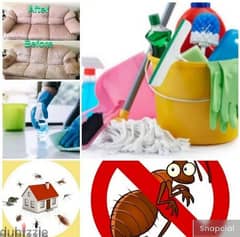 General pest control services and house cleaning